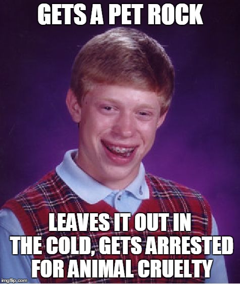 Bad Luck Brian Meme | GETS A PET ROCK LEAVES IT OUT IN THE COLD, GETS ARRESTED FOR ANIMAL CRUELTY | image tagged in memes,bad luck brian | made w/ Imgflip meme maker