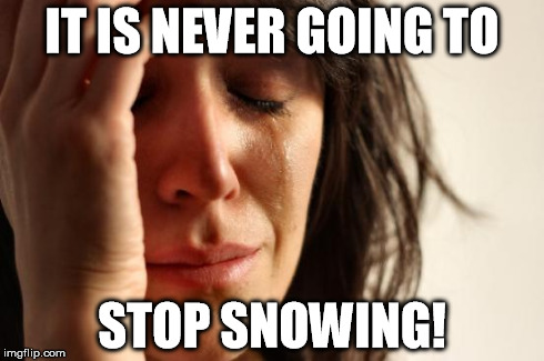 First World Problems | IT IS NEVER GOING TO STOP SNOWING! | image tagged in memes,first world problems | made w/ Imgflip meme maker