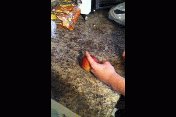 image tagged in gifs,funny | made w/ Imgflip video-to-gif maker
