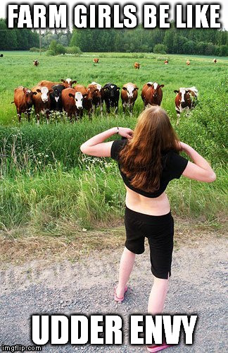 Udder Envy | FARM GIRLS BE LIKE UDDER ENVY | image tagged in udder envy,cows,farm girl,flashing | made w/ Imgflip meme maker