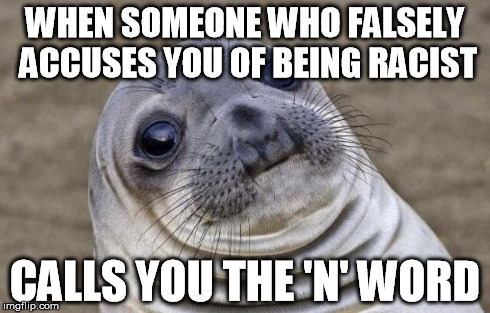 Awkward Moment Sealion | WHEN SOMEONE WHO FALSELY ACCUSES YOU OF BEING RACIST CALLS YOU THE 'N' WORD | image tagged in memes,awkward moment sealion | made w/ Imgflip meme maker