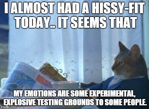 Meditated all day.. My nerves are still shot. | I ALMOST HAD A HISSY-FIT TODAY.. IT SEEMS THAT MY EMOTIONS ARE SOME EXPERIMENTAL, EXPLOSIVE TESTING GROUNDS TO SOME PEOPLE. | image tagged in memes,i should buy a boat cat | made w/ Imgflip meme maker