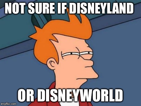 Futurama Fry | NOT SURE IF DISNEYLAND OR DISNEYWORLD | image tagged in memes,futurama fry | made w/ Imgflip meme maker