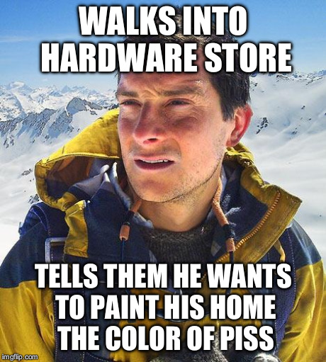 Bear Grylls Meme | WALKS INTO HARDWARE STORE TELLS THEM HE WANTS TO PAINT HIS HOME THE COLOR OF PISS | image tagged in memes,bear grylls | made w/ Imgflip meme maker