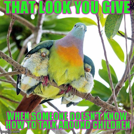 Stink Eye | THAT LOOK YOU GIVE WHEN SOMEONE DOESN'T KNOW HOW TO TALK AROUND CHILDREN | image tagged in mom,angry,animals,bird,parents,funny memes | made w/ Imgflip meme maker
