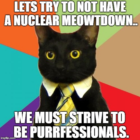 Another day at the office, and people are losing it. | LETS TRY TO NOT HAVE A NUCLEAR MEOWTDOWN.. WE MUST STRIVE TO BE PURRFESSIONALS. | image tagged in memes,business cat | made w/ Imgflip meme maker