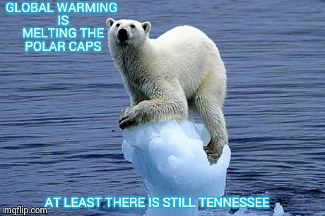 Global Warming  | GLOBAL WARMING IS MELTING THE POLAR CAPS AT LEAST THERE IS STILL TENNESSEE | image tagged in polar bear,global warming,winter,funny memes,animals | made w/ Imgflip meme maker