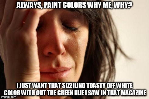 First World Problems | ALWAYS, PAINT COLORS WHY ME, WHY? I JUST WANT THAT SIZZILING TOASTY OFF WHITE COLOR WITH OUT THE GREEN HUE I SAW IN THAT MAGAZINE | image tagged in memes,first world problems | made w/ Imgflip meme maker