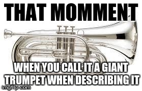 THAT MOMMENT WHEN YOU CALL IT A GIANT TRUMPETWHEN DESCRIBING IT | image tagged in baritone struggles | made w/ Imgflip meme maker