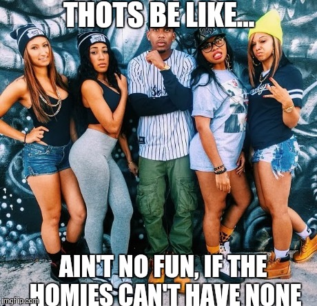 Thots be like... | THOTS BE LIKE... AIN'T NO FUN, IF THE HOMIES CAN'T HAVE NONE | image tagged in go home youre drunk,sex,damn | made w/ Imgflip meme maker