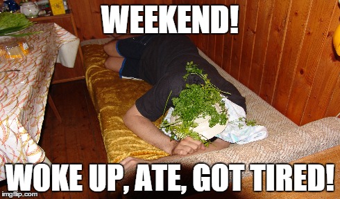 weekend | WEEKEND! WOKE UP, ATE, GOT TIRED! | image tagged in weekend,wake up,eat,tired | made w/ Imgflip meme maker