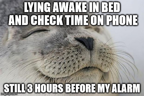 Satisfied Seal Meme | LYING AWAKE IN BED AND CHECK TIME ON PHONE STILL 3 HOURS BEFORE MY ALARM | image tagged in memes,satisfied seal | made w/ Imgflip meme maker