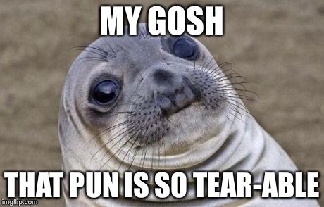 Awkward Moment Sealion Meme | MY GOSH THAT PUN IS SO TEAR-ABLE | image tagged in memes,awkward moment sealion | made w/ Imgflip meme maker