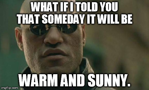 Matrix Morpheus Meme | WHAT IF I TOLD YOU THAT SOMEDAY IT WILL BE WARM AND SUNNY. | image tagged in memes,matrix morpheus | made w/ Imgflip meme maker