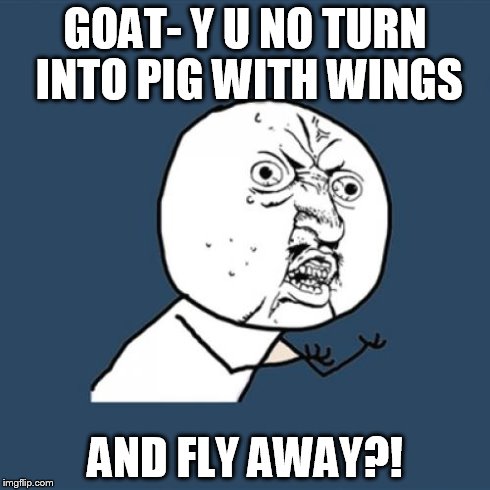 Y U No Meme | GOAT- Y U NO TURN INTO PIG WITH WINGS AND FLY AWAY?! | image tagged in memes,y u no | made w/ Imgflip meme maker