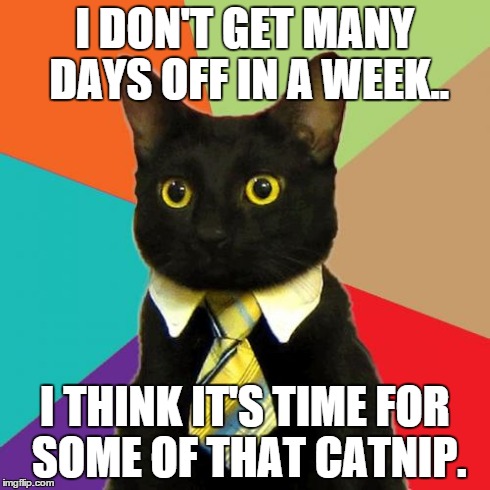Do you have two days off? go nuts on one day and use the other to recover.. | I DON'T GET MANY DAYS OFF IN A WEEK.. I THINK IT'S TIME FOR SOME OF THAT CATNIP. | image tagged in memes,business cat | made w/ Imgflip meme maker