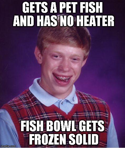 Bad Luck Brian Meme | GETS A PET FISH AND HAS NO HEATER FISH BOWL GETS FROZEN SOLID | image tagged in memes,bad luck brian | made w/ Imgflip meme maker