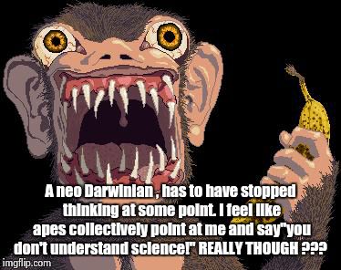 A neo Darwinian , has to have stopped thinking at some point. I feel like apes collectively point at me and say"you don't understand science | image tagged in angry monkey | made w/ Imgflip meme maker