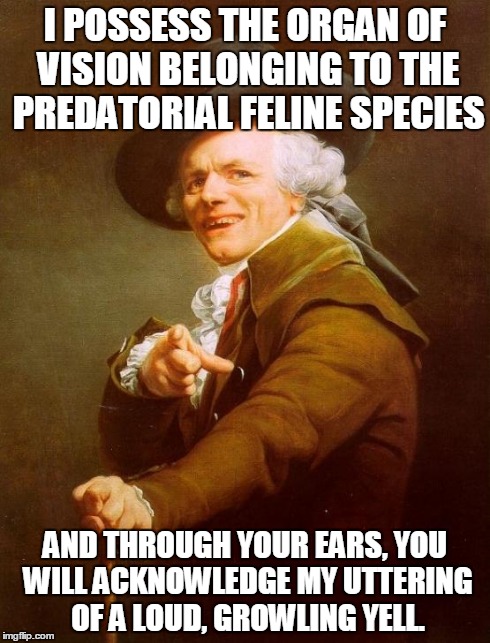 I POSSESS THE ORGAN OF VISION BELONGING TO THE PREDATORIAL FELINE SPECIES AND THROUGH YOUR EARS, YOU WILL ACKNOWLEDGE MY UTTERING OF A LOUD, | image tagged in memes,joseph ducreux | made w/ Imgflip meme maker