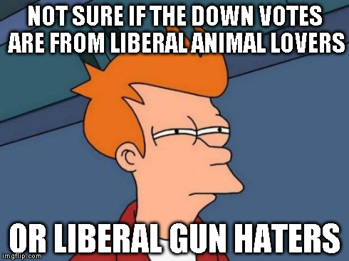 Futurama Fry Meme | NOT SURE IF THE DOWN VOTES ARE FROM LIBERAL ANIMAL LOVERS OR LIBERAL GUN HATERS | image tagged in memes,futurama fry | made w/ Imgflip meme maker