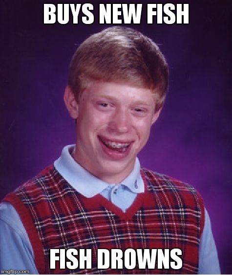 Bad Luck Brian | BUYS NEW FISH FISH DROWNS | image tagged in memes,bad luck brian | made w/ Imgflip meme maker