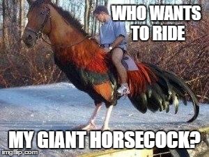 Horsecock | WHO WANTS TO RIDE MY GIANT HORSECOCK? | image tagged in horsecock | made w/ Imgflip meme maker