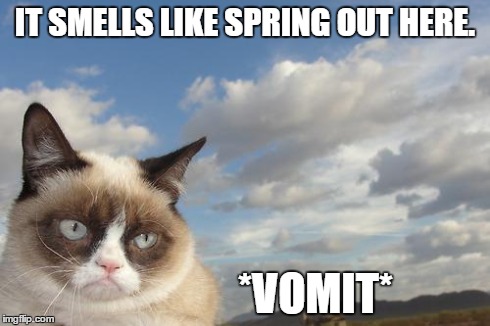 Grumpy Cat Sky Meme | IT SMELLS LIKE SPRING OUT HERE. *VOMIT* | image tagged in memes,grumpy cat sky,grumpy cat | made w/ Imgflip meme maker