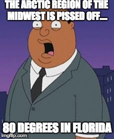 Family guy weatherman | THE ARCTIC REGION OF THE MIDWEST IS PISSED OFF.... 80 DEGREES IN FLORIDA | image tagged in family guy weatherman | made w/ Imgflip meme maker