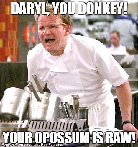 Chef Gordon Ramsay | DARYL, YOU DONKEY! YOUR OPOSSUM IS RAW! | image tagged in memes,chef gordon ramsay | made w/ Imgflip meme maker