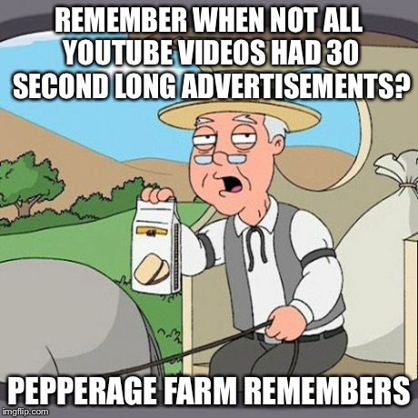 Pepperidge Farm Remembers | REMEMBER WHEN NOT ALL YOUTUBE VIDEOS HAD 30 SECOND LONG ADVERTISEMENTS? PEPPERAGE FARM REMEMBERS | image tagged in memes,pepperidge farm remembers | made w/ Imgflip meme maker