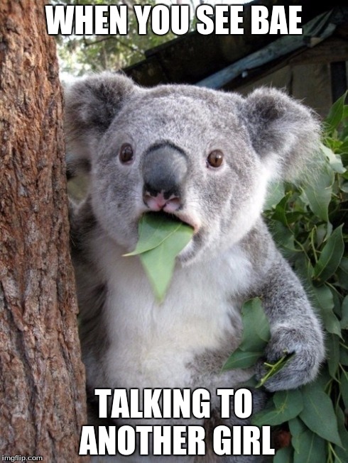 Surprised Koala | WHEN YOU SEE BAE TALKING TO ANOTHER GIRL | image tagged in memes,surprised coala | made w/ Imgflip meme maker
