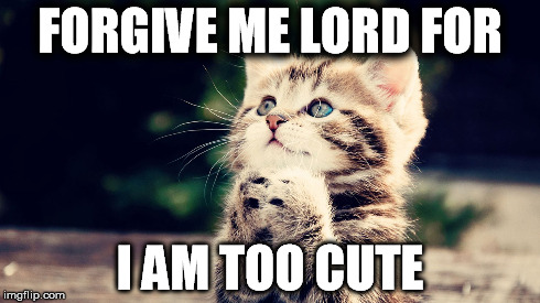 FORGIVE ME LORD FOR I AM TOO CUTE | image tagged in animals | made w/ Imgflip meme maker