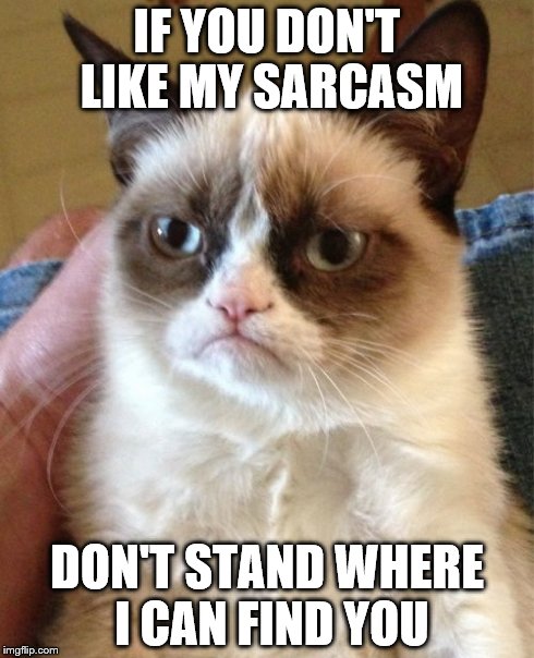Grumpy Cat | IF YOU DON'T LIKE MY SARCASM DON'T STAND WHERE I CAN FIND YOU | image tagged in memes,grumpy cat | made w/ Imgflip meme maker