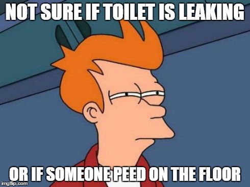 Futurama Fry Meme | NOT SURE IF TOILET IS LEAKING OR IF SOMEONE PEED ON THE FLOOR | image tagged in memes,futurama fry,AdviceAnimals | made w/ Imgflip meme maker