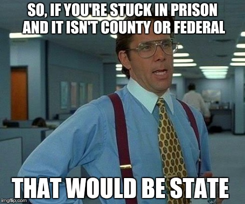 That Would Be Great Meme | SO, IF YOU'RE STUCK IN PRISON AND IT ISN'T COUNTY OR FEDERAL THAT WOULD BE STATE | image tagged in memes,that would be great | made w/ Imgflip meme maker