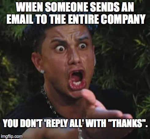 DJ Pauly D Meme | WHEN SOMEONE SENDS AN EMAIL TO THE ENTIRE COMPANY YOU DON'T 'REPLY ALL' WITH "THANKS". | image tagged in memes,dj pauly d | made w/ Imgflip meme maker
