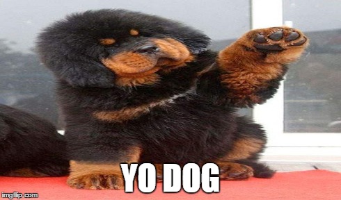 YO DOG | made w/ Imgflip meme maker