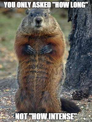 groundhog | YOU ONLY ASKED "HOW LONG" NOT "HOW INTENSE" | image tagged in groundhog | made w/ Imgflip meme maker