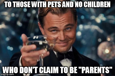Leonardo Dicaprio Cheers | TO THOSE WITH PETS AND NO CHILDREN WHO DON'T CLAIM TO BE "PARENTS" | image tagged in memes,leonardo dicaprio cheers | made w/ Imgflip meme maker