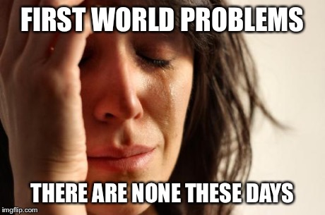 First World Problems | FIRST WORLD PROBLEMS THERE ARE NONE THESE DAYS | image tagged in memes,first world problems | made w/ Imgflip meme maker