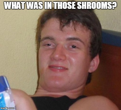 WHAT WAS IN THOSE SHROOMS? | image tagged in memes,10 guy | made w/ Imgflip meme maker