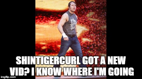 in case you are wondering, i'm shintigercurl.  | SHINTIGERCURL GOT A NEW VID? I KNOW WHERE I'M GOING | image tagged in dean ambrose,wwe | made w/ Imgflip meme maker