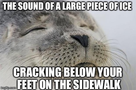 Satisfied Seal Meme | THE SOUND OF A LARGE PIECE OF ICE CRACKING BELOW YOUR FEET ON THE SIDEWALK | image tagged in memes,satisfied seal | made w/ Imgflip meme maker