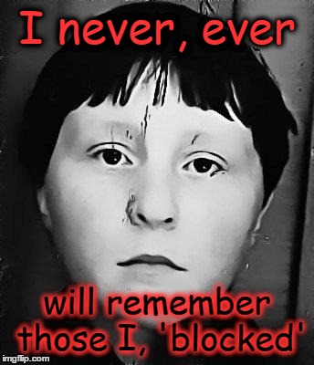 I never, ever......... | I never, ever will remember those I, 'blocked' | image tagged in i never ever......... | made w/ Imgflip meme maker
