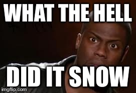 Kevin Hart | WHAT THE HELL DID IT SNOW | image tagged in memes,kevin hart the hell | made w/ Imgflip meme maker