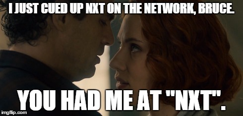 how bruce and nattie get in the mood | I JUST CUED UP NXT ON THE NETWORK, BRUCE. YOU HAD ME AT "NXT". | image tagged in bruce banner,black widow,nxt,avengers | made w/ Imgflip meme maker