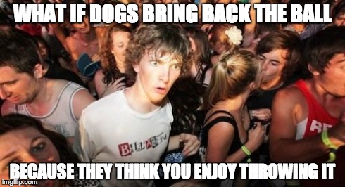 Sudden Clarity Clarence | WHAT IF DOGS BRING BACK THE BALL BECAUSE THEY THINK YOU ENJOY THROWING IT | image tagged in memes,sudden clarity clarence | made w/ Imgflip meme maker