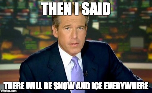Brian Williams Was There Meme | THEN I SAID THERE WILL BE SNOW AND ICE EVERYWHERE | image tagged in memes,brian williams was there | made w/ Imgflip meme maker