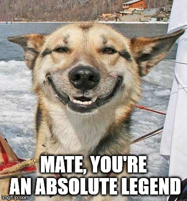 Happy Dog | MATE, YOU'RE AN ABSOLUTE LEGEND | image tagged in legend,mate,dog,happy | made w/ Imgflip meme maker