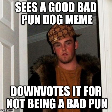 Scumbag Steve Meme | SEES A GOOD BAD PUN DOG MEME DOWNVOTES IT FOR NOT BEING A BAD PUN | image tagged in memes,scumbag steve | made w/ Imgflip meme maker